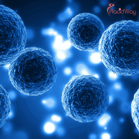 Why Stem Cell Therapy in Mexico & Colombia Is Becoming the Go-To Choice for Canadians